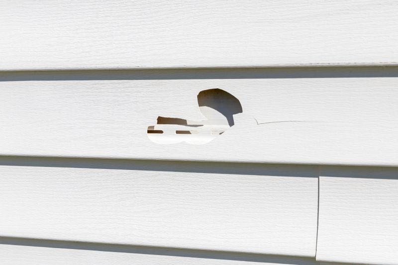 Quality Vinyl Siding Fix